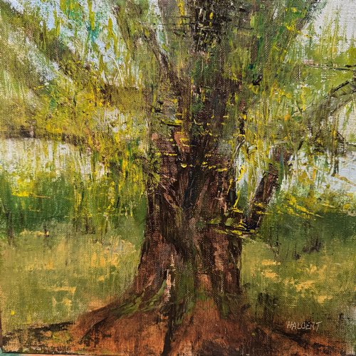 /images/art/halbertanancientcottonwood12x12oil_lg.jpg
